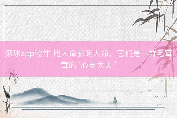 滚球app软件 用人命影响人命，它们是一群毛茸茸的“心灵大夫”