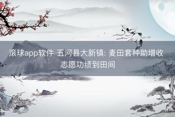 滚球app软件 五河县大新镇: 麦田套种助增收 志愿功绩到田间