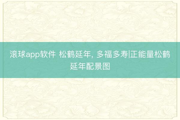 滚球app软件 松鹤延年，<a href=