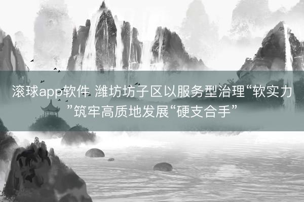 滚球app软件 潍坊坊子区以服务型治理“软实力”筑牢高质地发展“硬支合手”