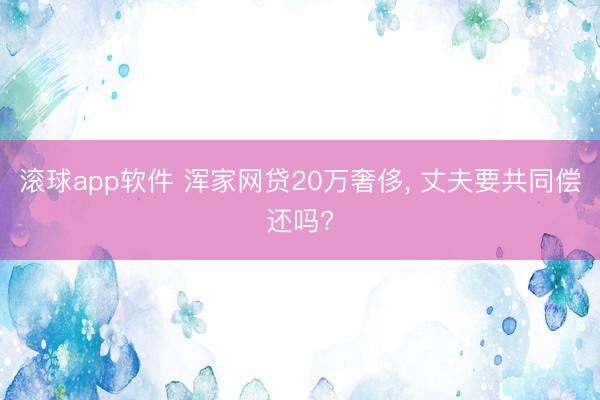 滚球app软件 浑家网贷20万奢侈， 丈夫要共同偿还吗?