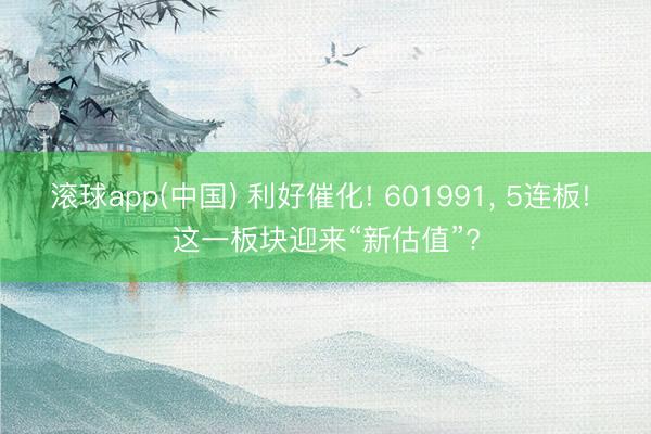 滚球app(中国) 利好催化! 601991， 5连板! 这一板块迎来“新估值”?