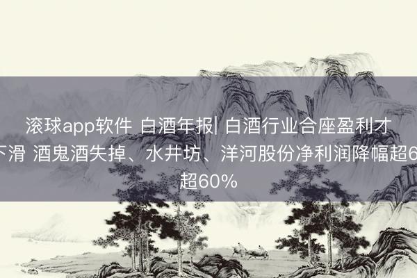 滚球app软件 白酒年报| 白酒行业合座盈利才智下滑 酒鬼酒失掉、水井坊、洋河股份净利润降幅超60%