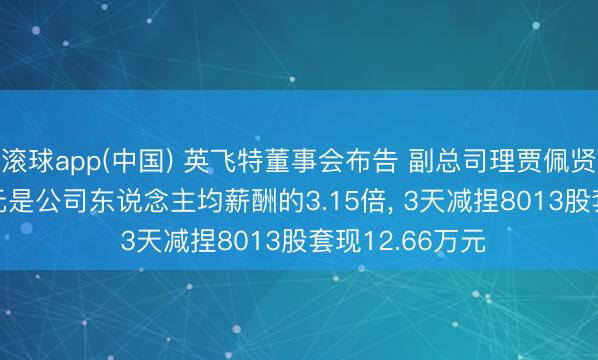 滚球app(中国) 英飞特董事会布告 副总司理贾佩贤年薪98.89万元是公司东说念主均薪酬的3.15倍， 3天减捏8013股套现12.66万元