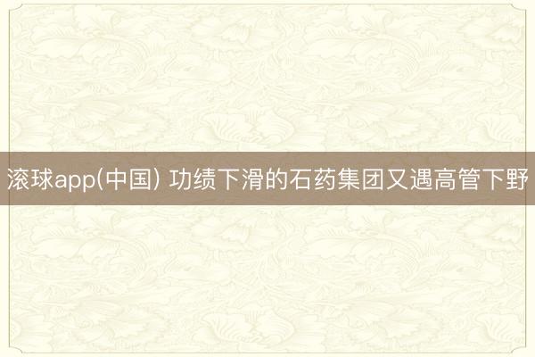 滚球app(中国) 功绩下滑的石药集团又遇高管下野