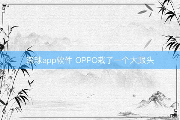 滚球app软件 OPPO栽了一个大跟头
