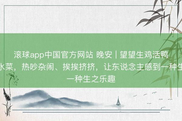滚球app中国官方网站 晚安 | 望望生鸡活鸭、鲜鱼水菜,热吵杂闹、挨挨挤挤,让东说念主感到一种生之乐趣