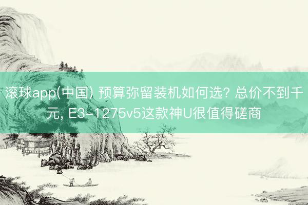 滚球app(中国) 预算弥留装机如何选? 总价不到千元, E3-1275v5这款神U很值得磋商