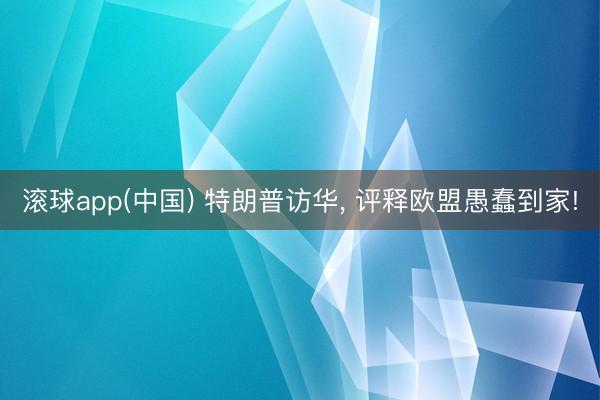 滚球app(中国) 特朗普访华, 评释欧盟愚蠢到家!