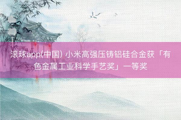滚球app(中国) 小米高强压铸铝硅合金获「有色金属工业科学手艺奖」一等奖