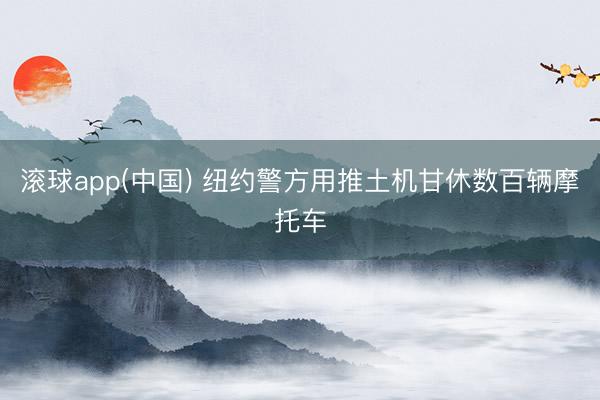 滚球app(中国) 纽约警方用推土机甘休数百辆摩托车