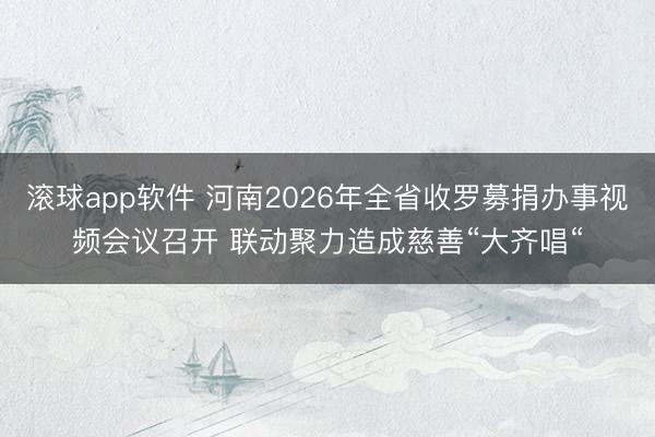 滚球app软件 河南2026年全省收罗募捐办事视频会议召开 联动聚力造成慈善“大齐唱“