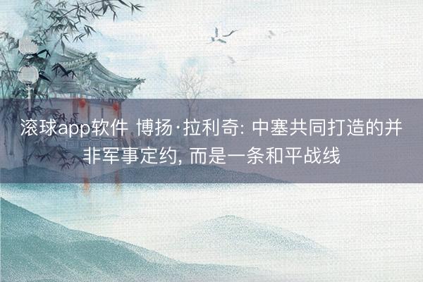 滚球app软件 博扬·拉利奇: 中塞共同打造的并非军事定约， 而是一条和平战线