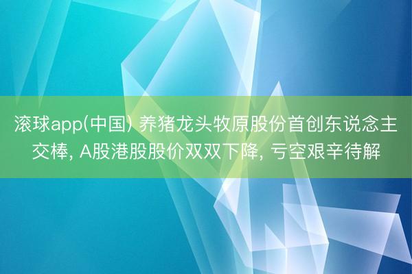 滚球app(中国) 养猪龙头牧原股份首创东说念主交棒， A股港股股价双双下降， 亏空艰辛待解
