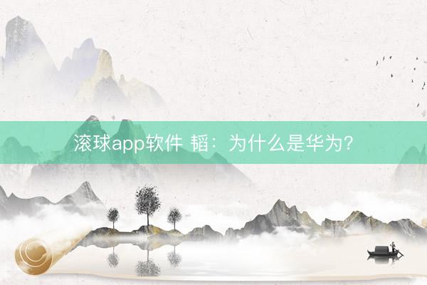 滚球app软件 韬：为什么是华为？
