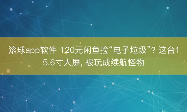 滚球app软件 120元闲鱼捡“电子垃圾”? 这台15.6寸大屏， 被玩成续航怪物