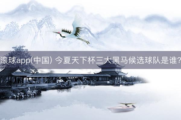 滚球app(中国) 今夏天下杯三大黑马候选球队是谁?