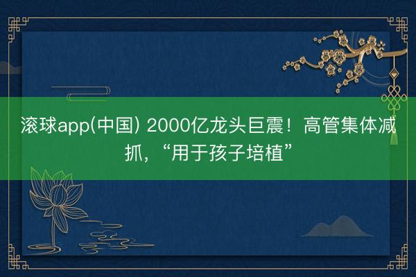 滚球app(中国) 2000亿龙头巨震！高管集体减抓，“用于孩子培植”