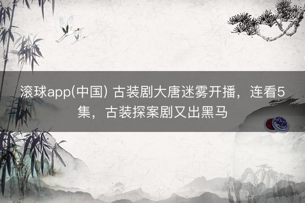 滚球app(中国) 古装剧大唐迷雾开播，连看5集，古装探案剧又出黑马