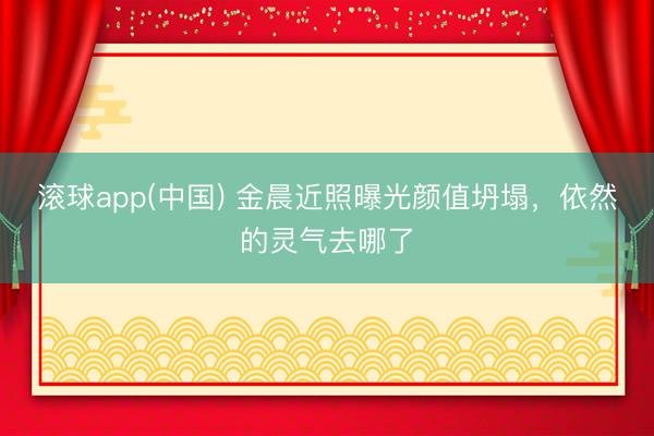 滚球app(中国) 金晨近照曝光颜值坍塌，依然的灵气去哪了