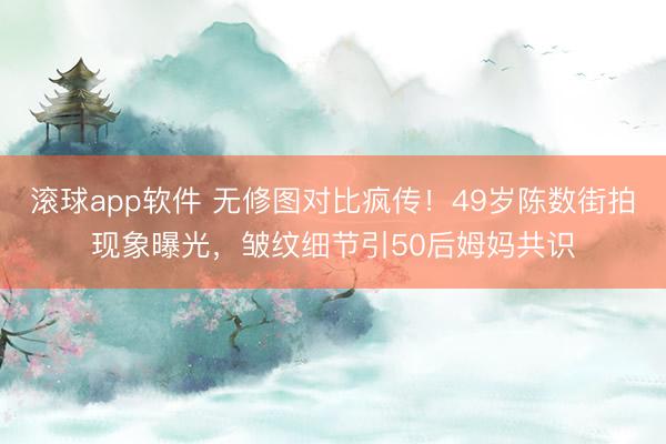 滚球app软件 无修图对比疯传！49岁陈数街拍现象曝光，皱纹细节引50后姆妈共识