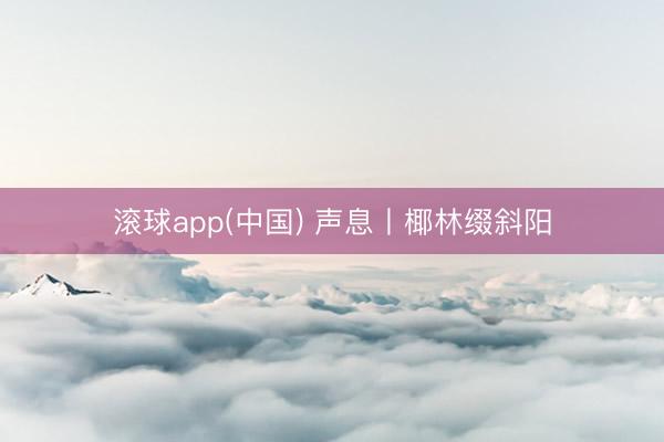 滚球app(中国) 声息丨椰林缀斜阳