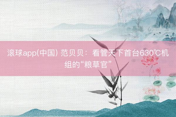 滚球app(中国) 范贝贝：看管天下首台630℃机组的“粮草官”