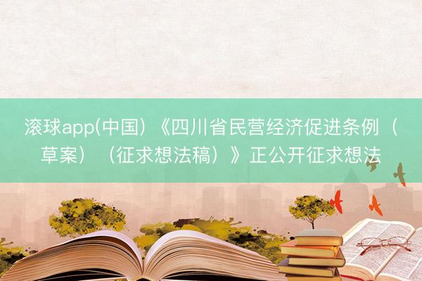 滚球app(中国) 《四川省民营经济促进条例(草案)(征求想法稿)》正公开征求想法
