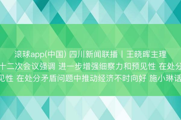 滚球app(中国) 四川新闻联播丨王晓晖主理召开省委财经委员会第十二次会议强调 进一步增强细察力和预见性 在处分矛盾问题中推动经济不时向好 施小琳话语 于立军出席