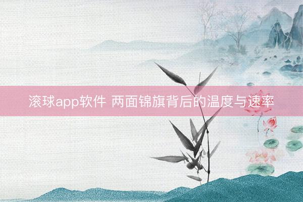 滚球app软件 两面锦旗背后的温度与速率