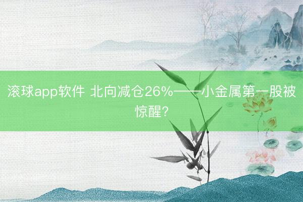 滚球app软件 北向减仓26%——小金属第一股被惊醒?