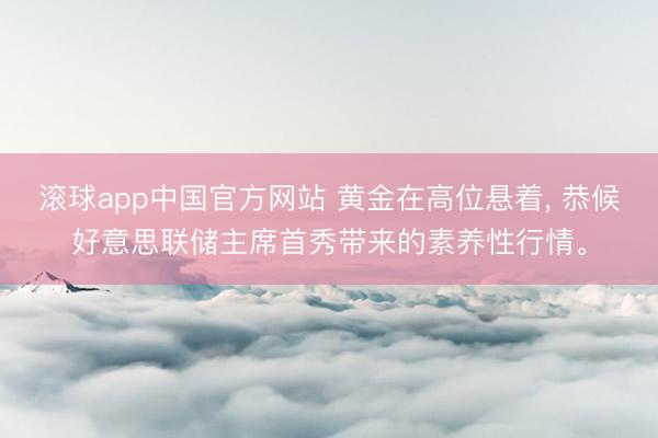 滚球app中国官方网站 黄金在高位悬着, 恭候好意思联储主席首秀带来的素养性行情。