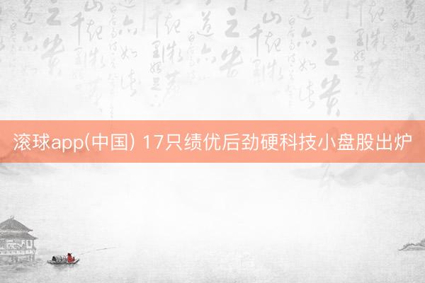 滚球app(中国) 17只绩优后劲硬科技小盘股出炉